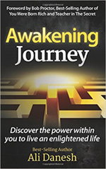 Awakening Journey book cover